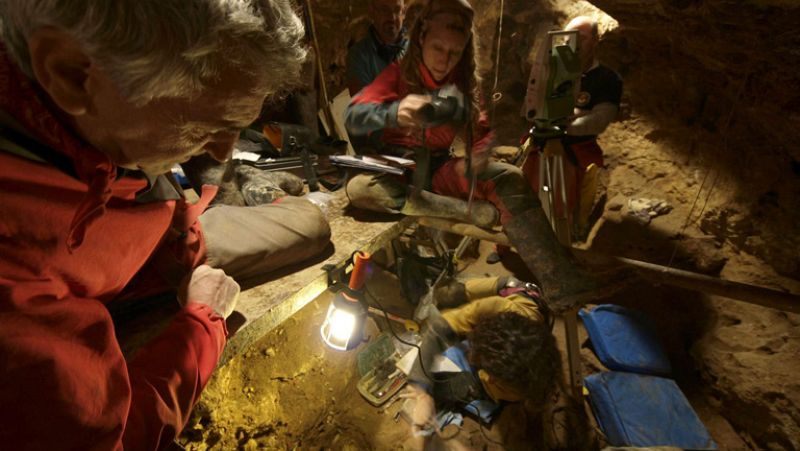 Un equipo de científicos que trabaja en Atapuerca consigue secuenciar el ADN de un fósil de oso
