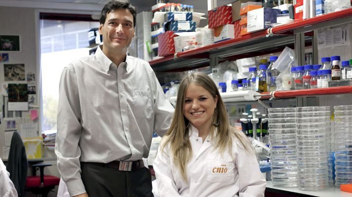 Telediario 1 - CNIO investigación células madre