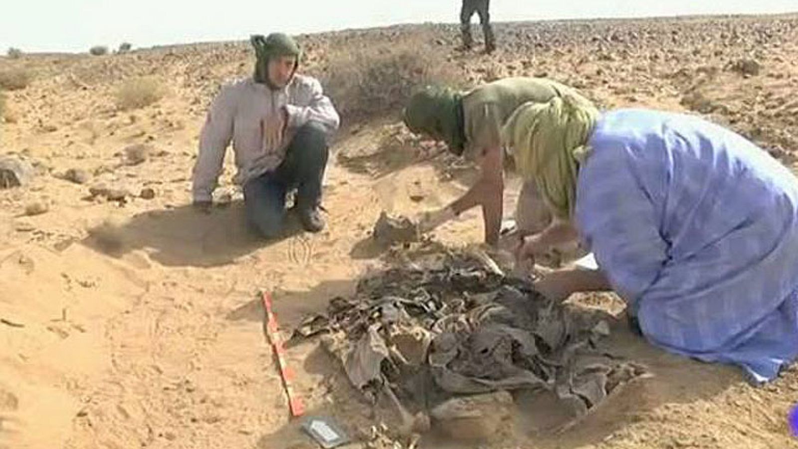 Piden responsabilidades a Rabat y Madrid tras hallar fosa común con saharauis | Ver