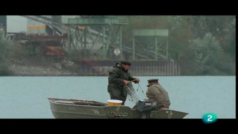 Agua, la gota de la vida - Los riesgos de la contaminación - Ver ahora 