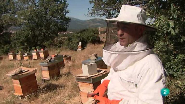 La aventura del Saber - La aventura del saber - 18/09/13