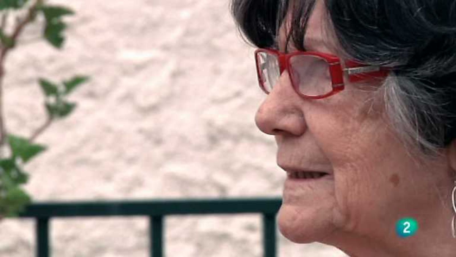 Ahora también - Cultivando la felicidad - Ver ahora