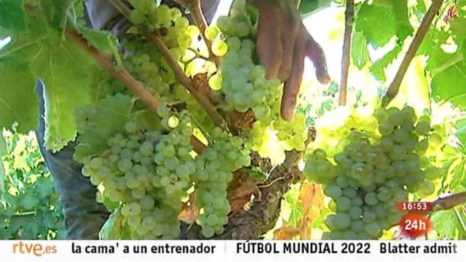 España en 24 horas - 18/09/13 - Ver ahora