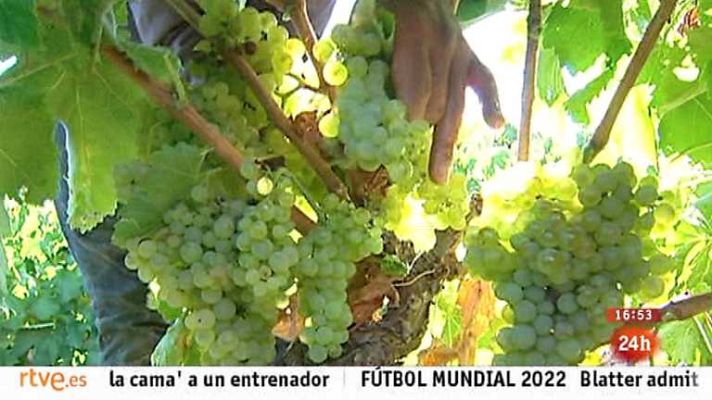 España en 24h - España en 24 horas - 18/09/13