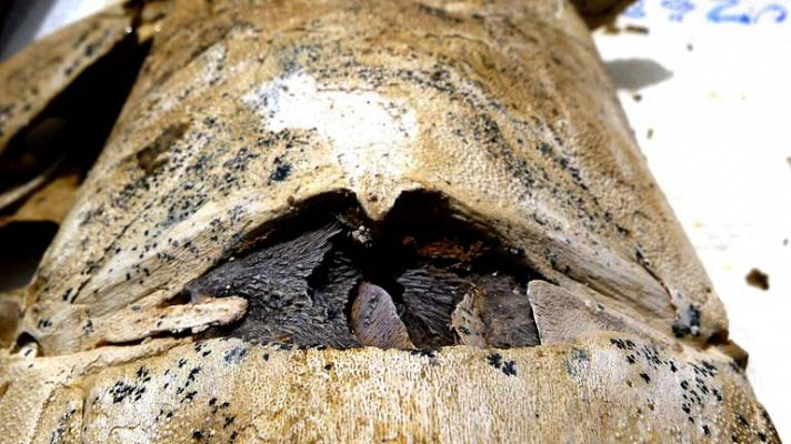 Informativo de Madrid - Informativo de Madrid - 19/09/13