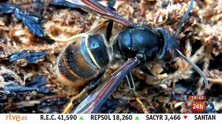 España en 24h - España en 24 horas - 19/09/13