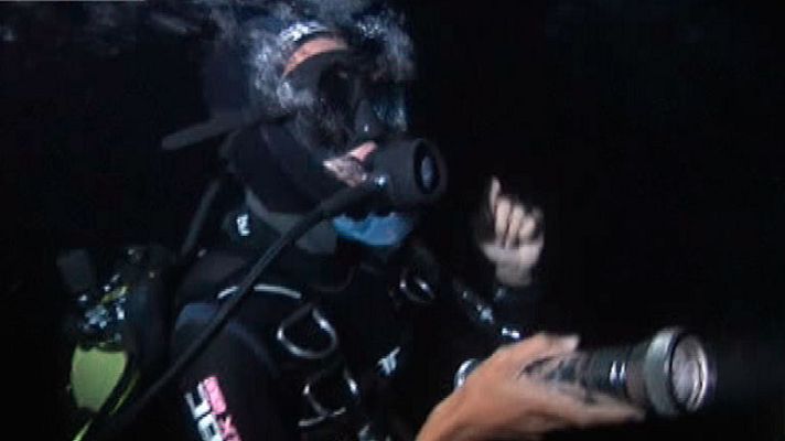 España Directo - Buceo nocturno