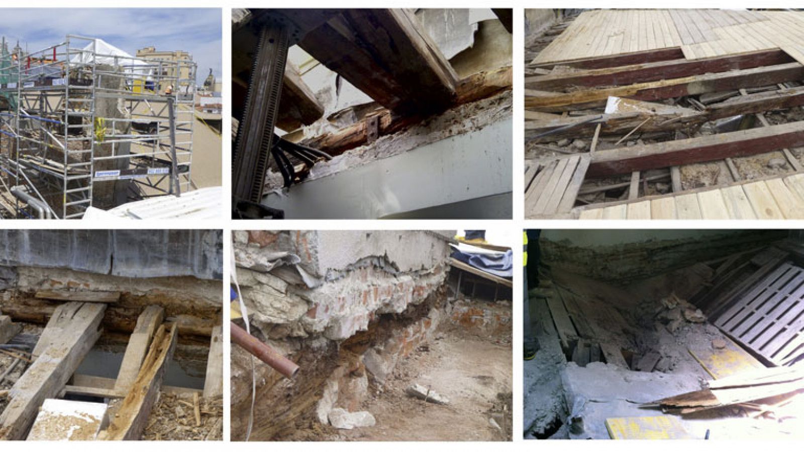 Encuentran animales momificados entre las obras del Congreso