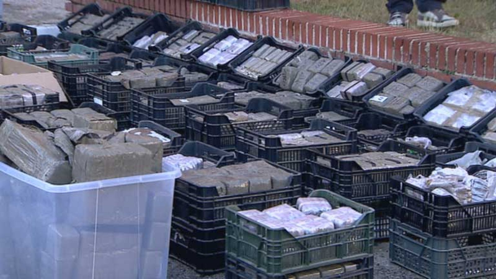 El 75% de la droga incautada hasta agosto ya ha sido destruida