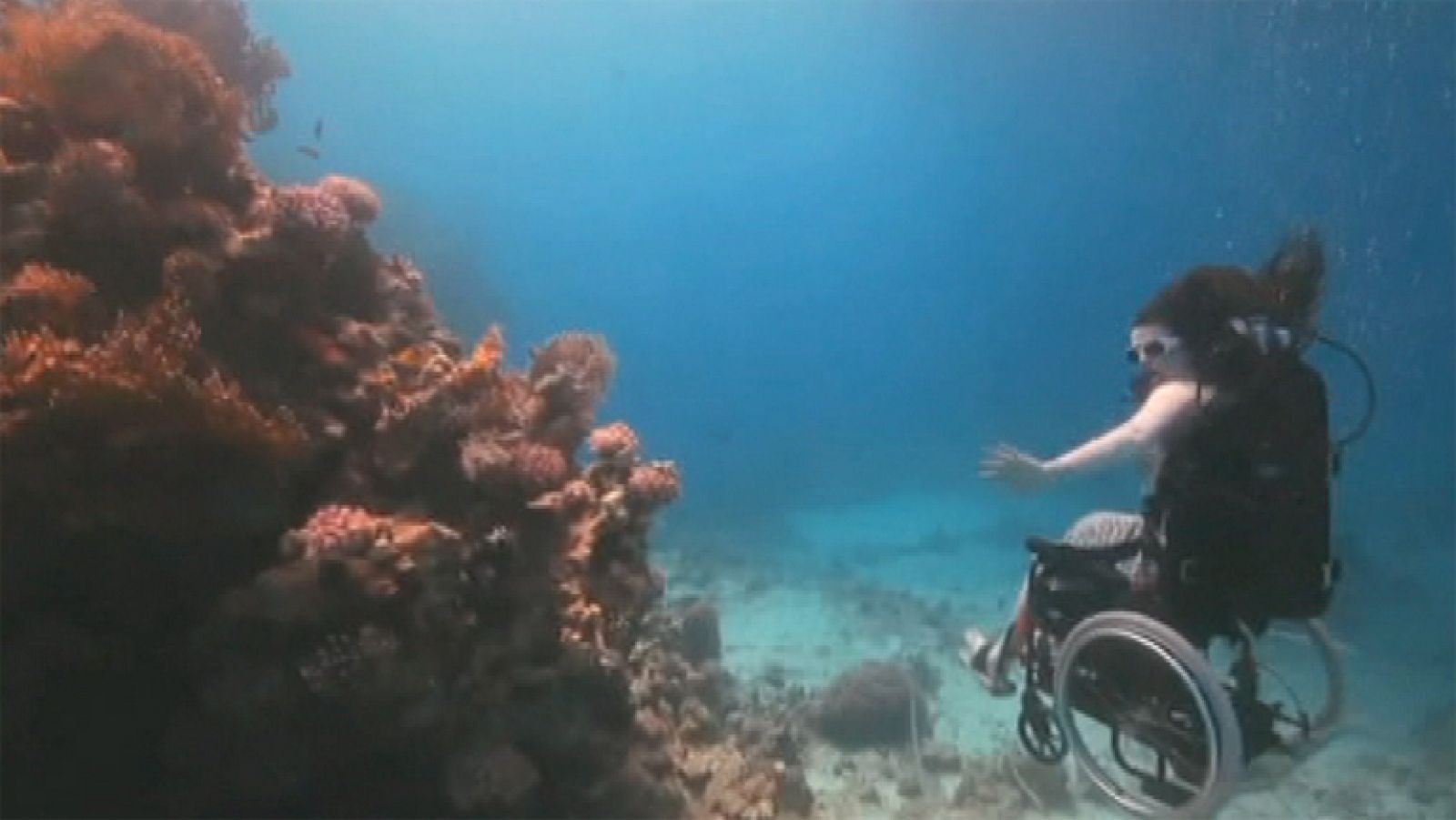 Sue Austin: Buceo en alta mar... en una silla de ruedas
