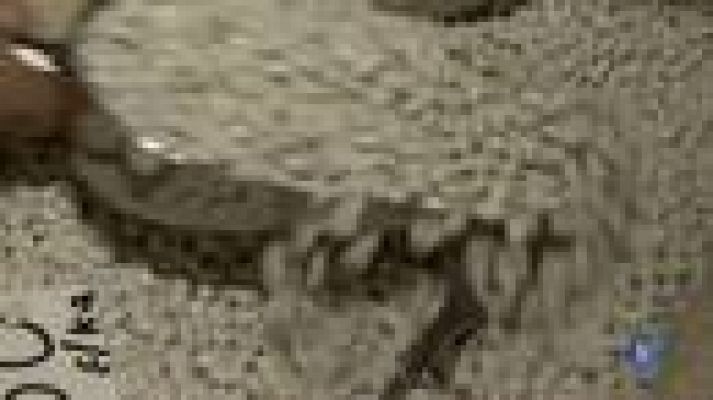 L'Informatiu - Torna la venda a l'engròs