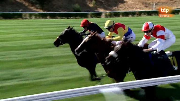 Turf - Turf - 22/09/13