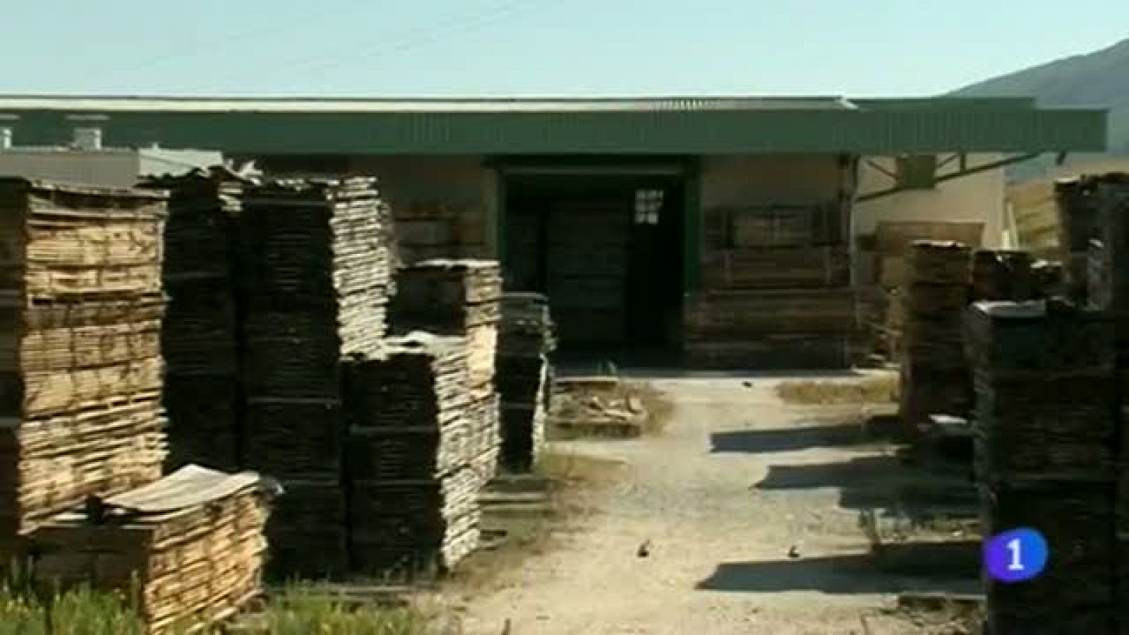 Telenavarra en 2' - 23/09/2013 | Ver