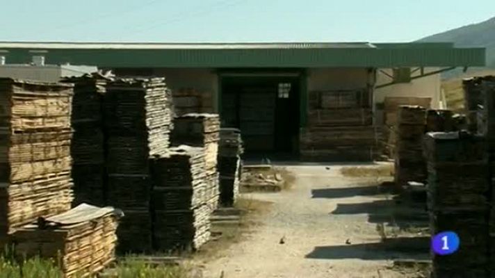 Telenavarra - Telenavarra - 23/09/2013