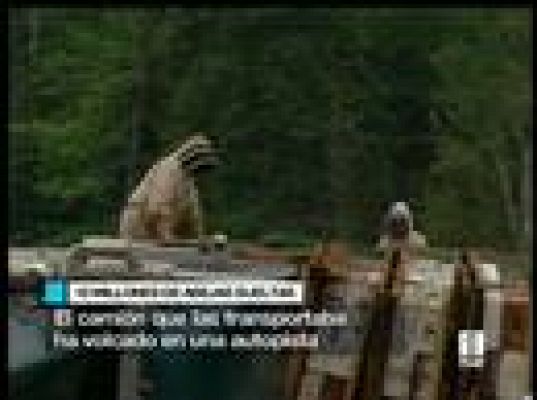  - 12 millones de abejas sueltas