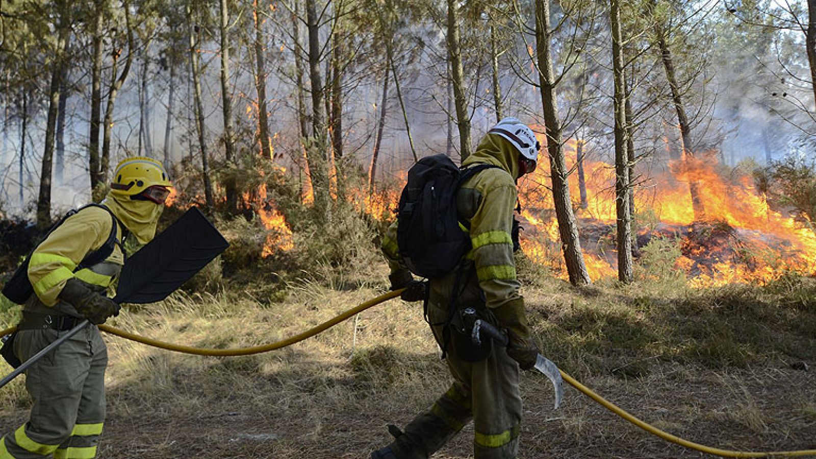 Informativo 24h: Un nuevo incendio en Ourense, en el municipio de A Merca, arrasa cerca de 300 hectáreas | RTVE Play