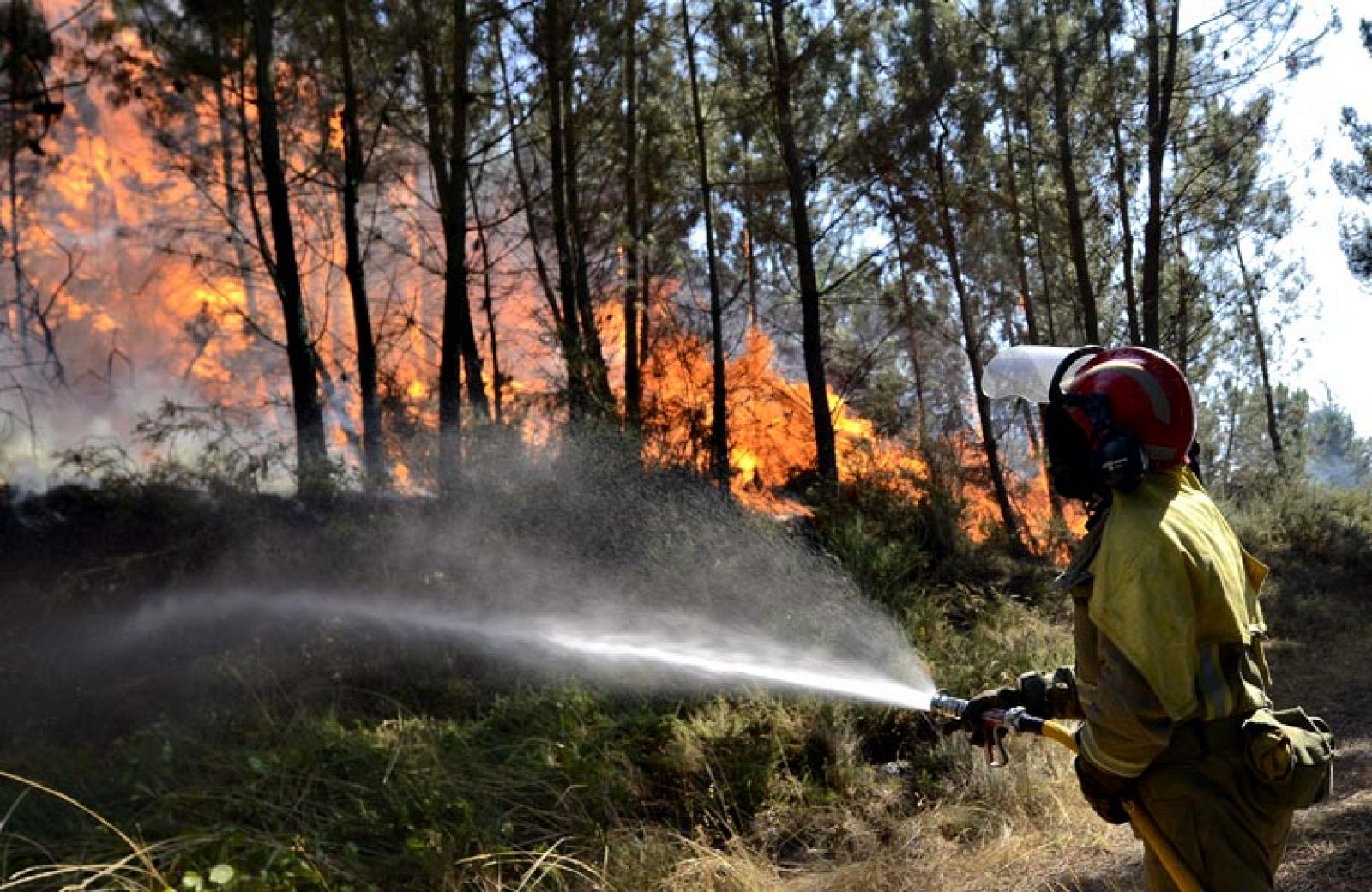 Continúan activos los incendios de las localidades ourensanas de A Merca y Paderne - Informativo 24h | Ver