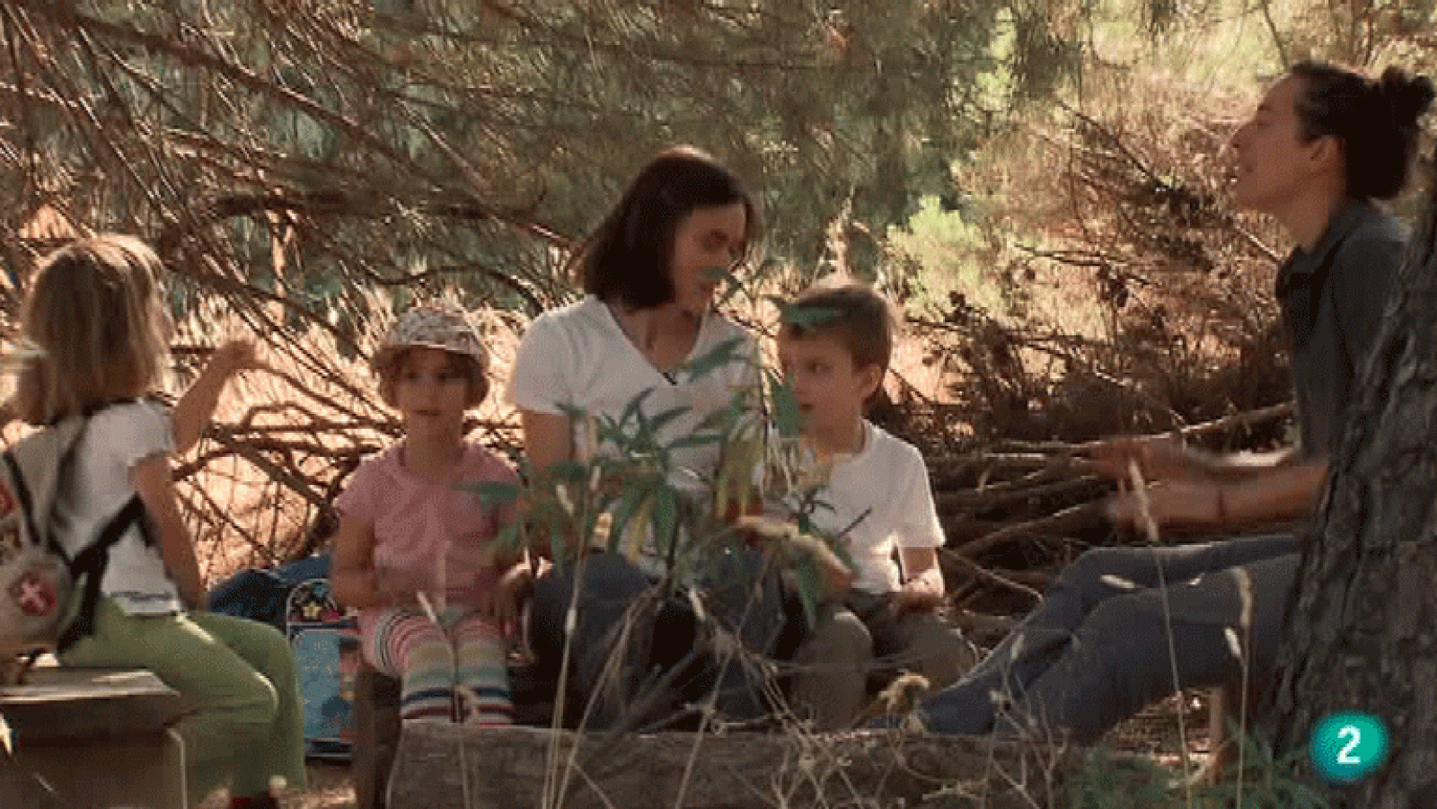 La Aventura del Saber. Proyecto Saltamontes