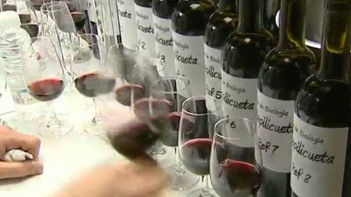 Informativo Telerioja - Informativo Telerioja - 24/09/13