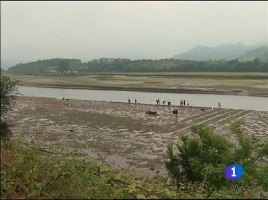 Panorama Regional - Panorama Regional 2 - 24/09/13