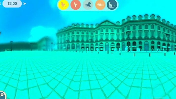 Telediario 1 - Una aplicación virtual simula la visión de algunos animales