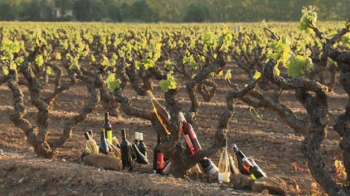 Entre vinyes - D.O. Tarragona