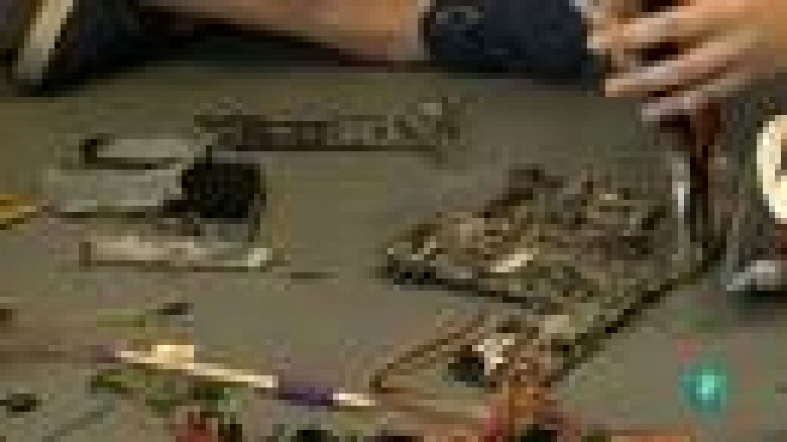 La Aventura del Saber. Manos a los chips. Robocicla