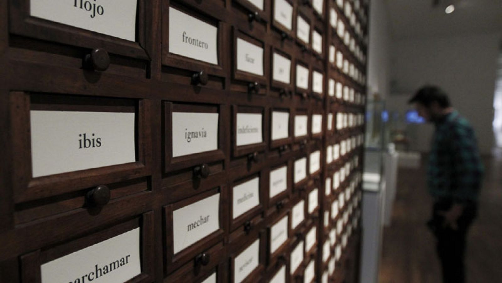 La Real Academia Española celebra su 300 cumpleaños en la Biblioteca Nacional | Ver