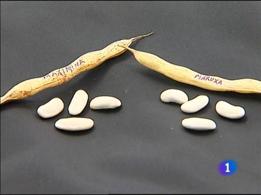 Panorama Regional - Asturias en 2' - 26/09/13