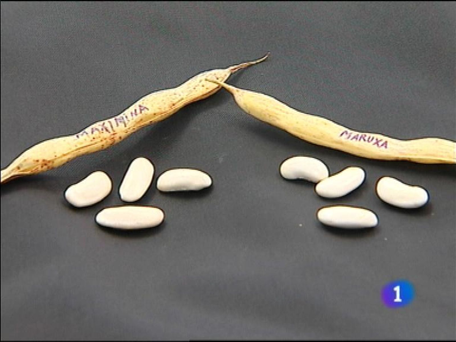 Panorama Regional 2 - 26/09/13 | Ver