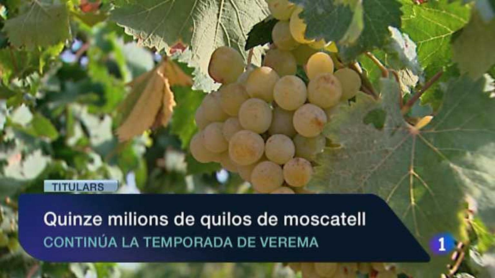 L'informatiu - Comunitat Valenciana: La Comunidad Valenciana en 2' - 27/09/13 | RTVE Play