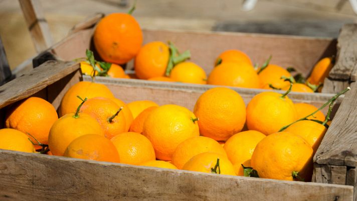 Telediario 1 - Las exportaciones de alimentos de España en 2012 ascendieron a 34.000 millones de euros