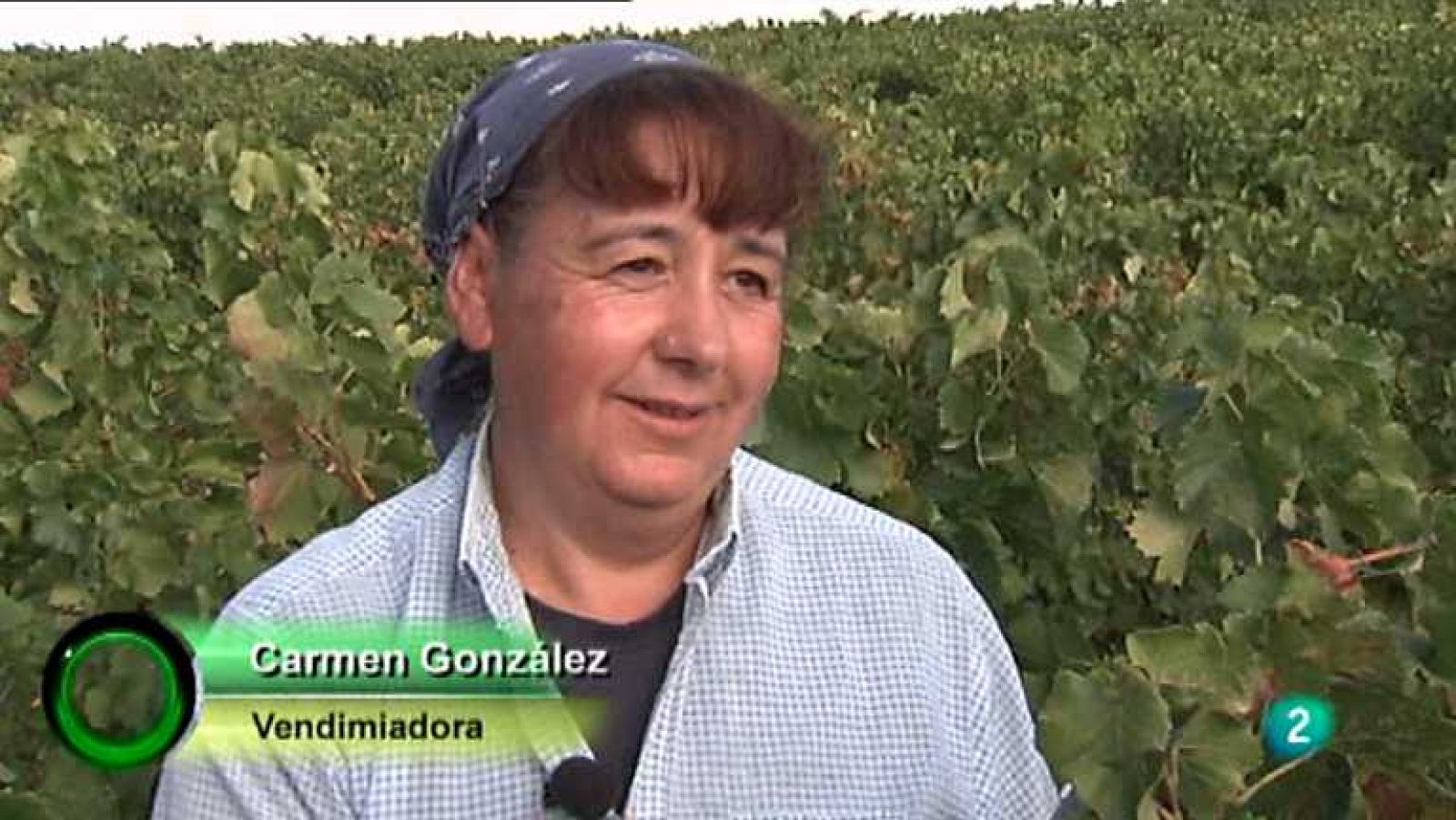 Agrosfera - 28/09/13 - Ver ahora