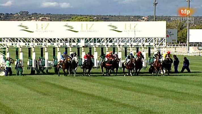 Turf - Turf - 29/09/13