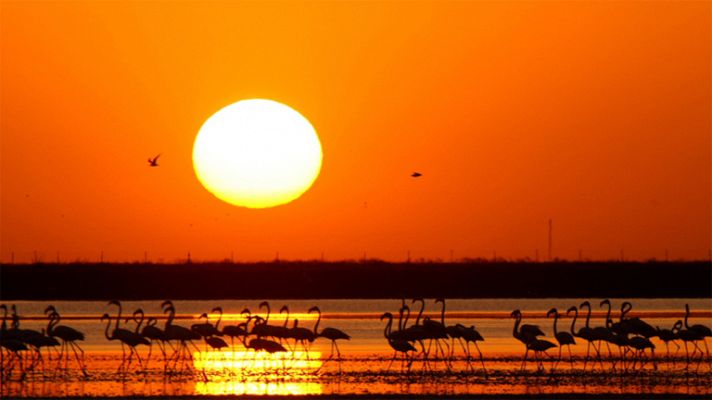 Buenas ideas TED - Conociendo la finca Veta la Palma
