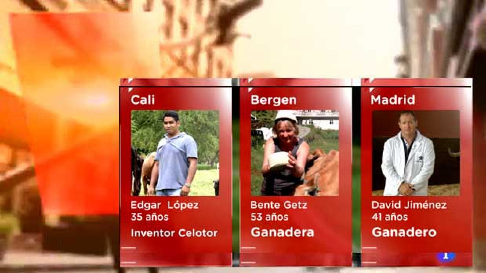 Sincronizados - Ganaderos - Avance - Sincronizados | Ver