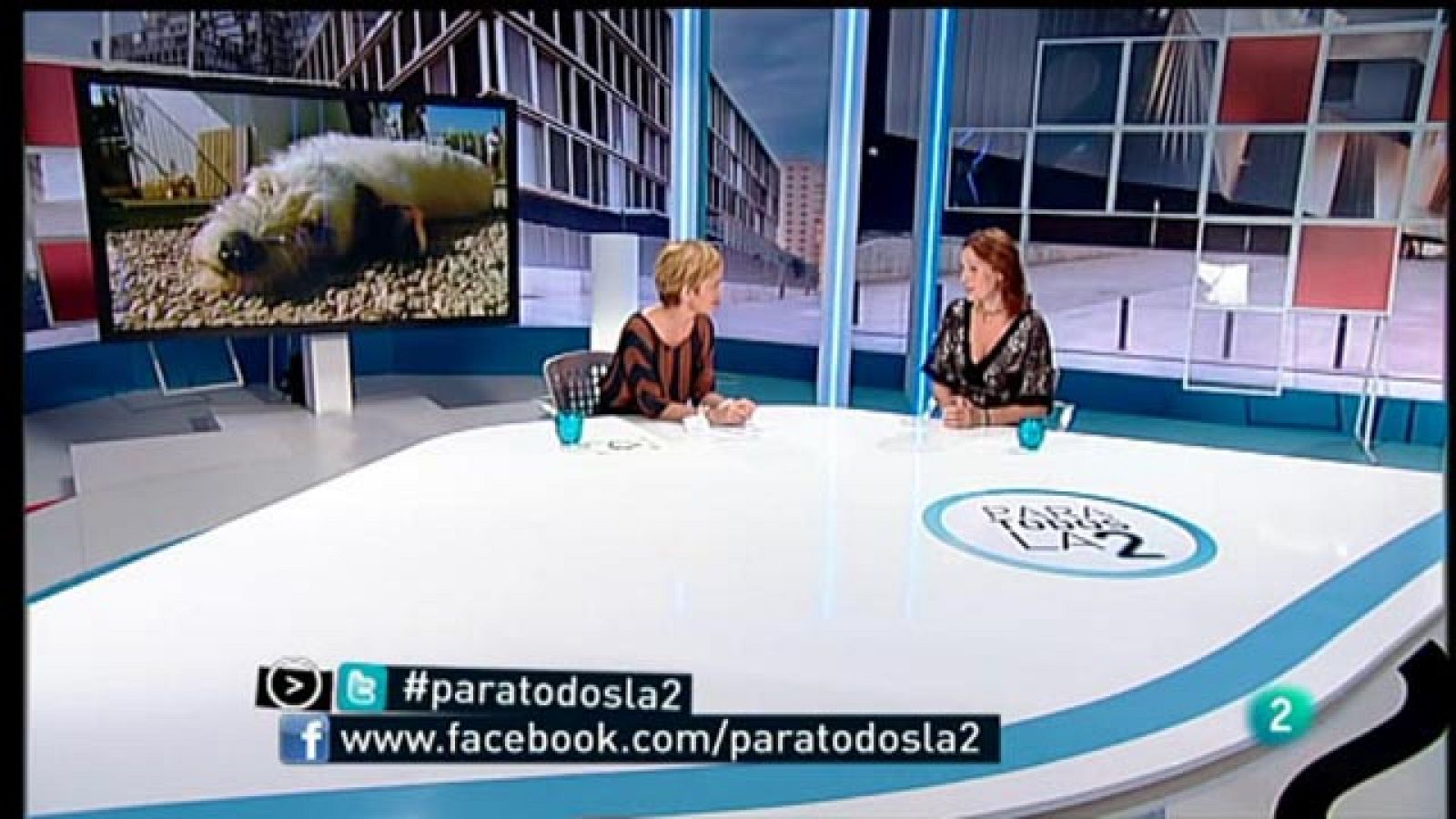 Para Todos La 2 - ONG - Sociedad Protectora de animales de Mataró