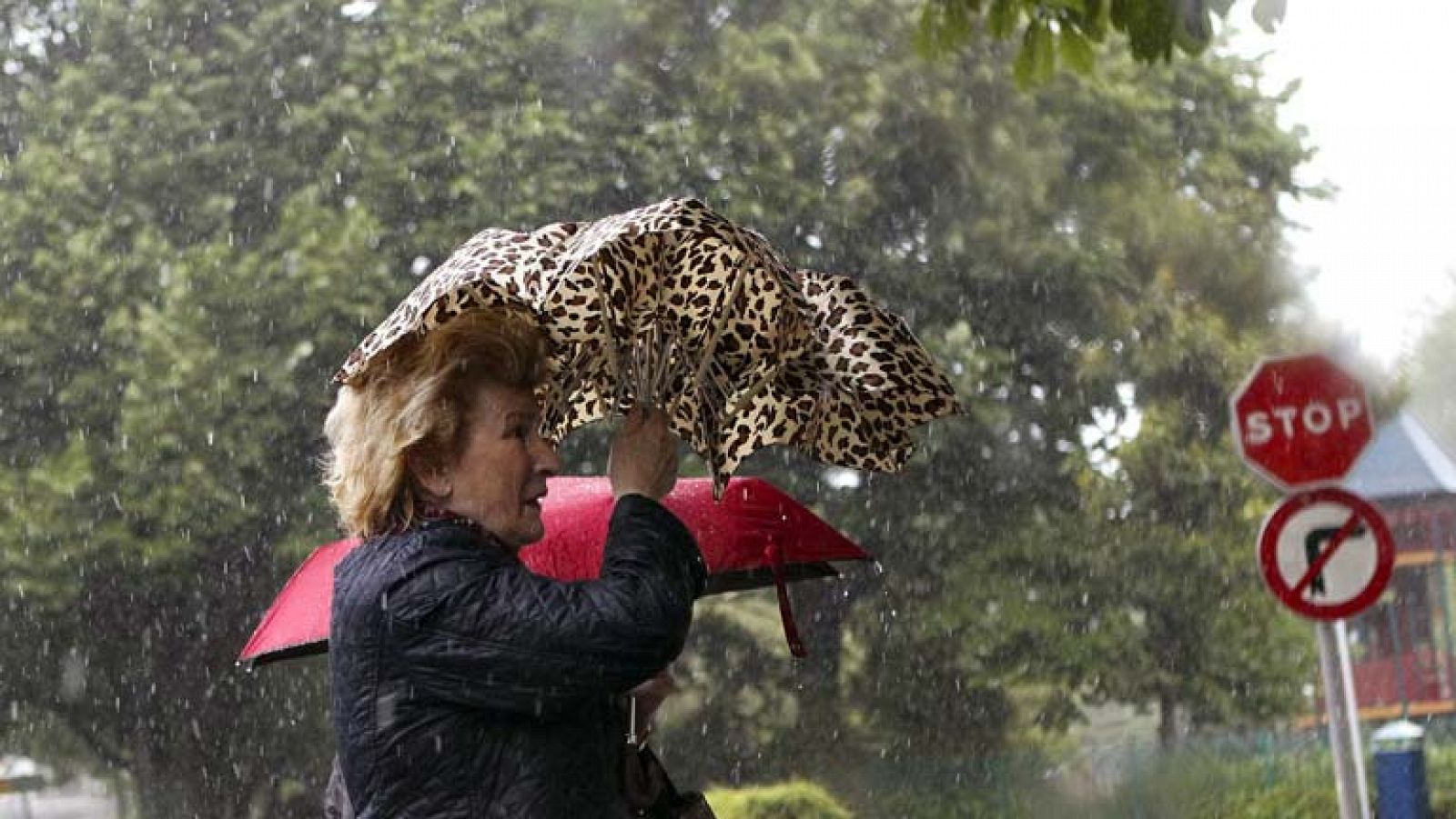 El tiempo: Lluvias en Castilla y Extremadura | RTVE Play