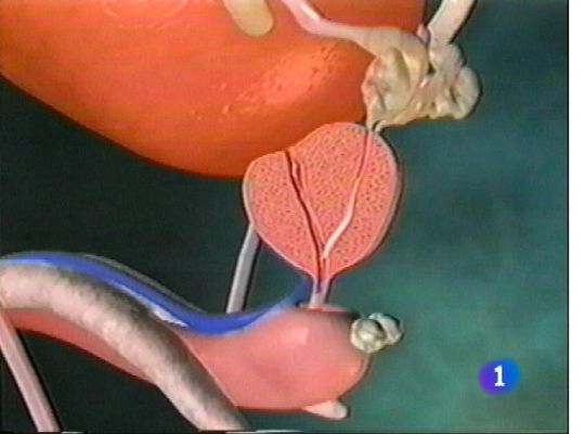 Panorama Regional - Panorama Regional - 01/10/13