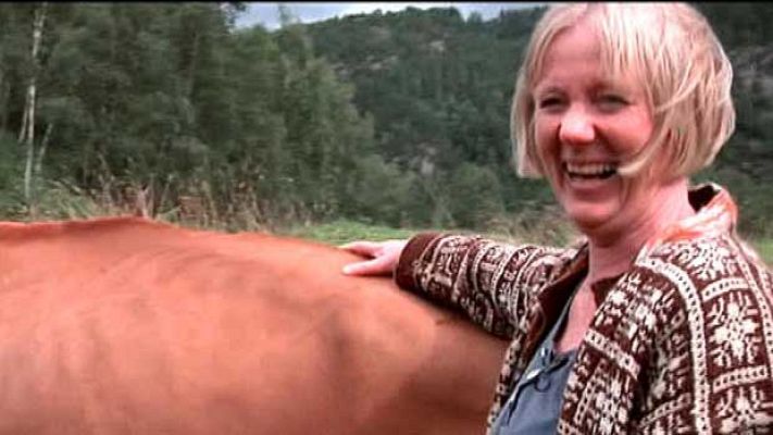 Sincronizados - Ganaderos - Bergen