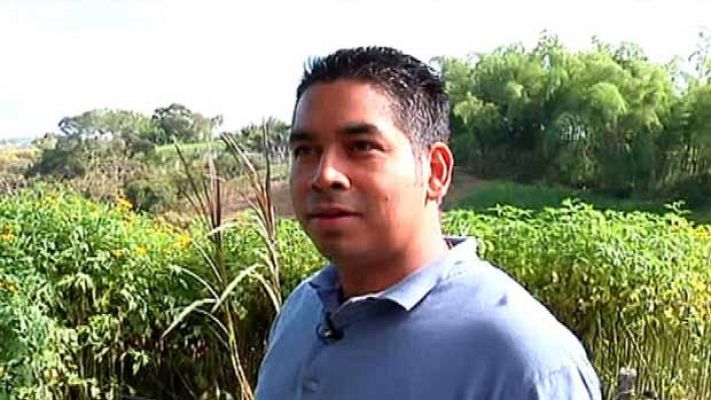 Sincronizados - Ganaderos - Cali