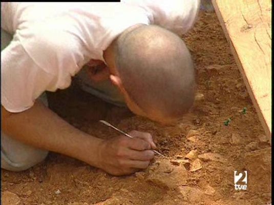 Atapuerca en la web