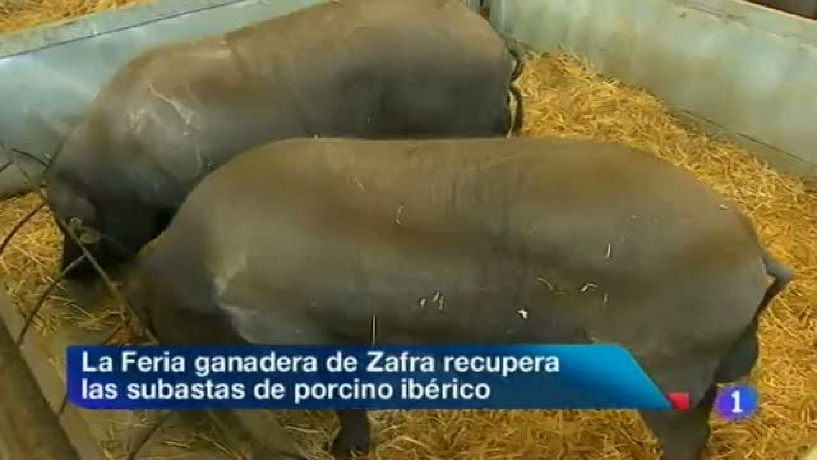 Noticias de Extremadura: Noticias de Extremadura - 03/10/13 | RTVE Play