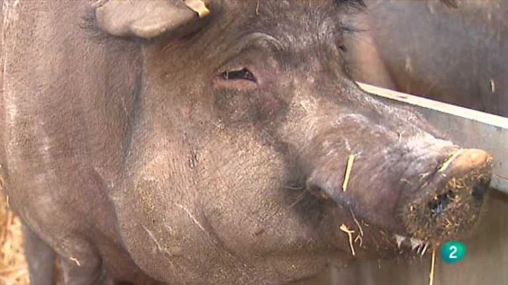 Agrosfera - Agrosfera - 05/10/13