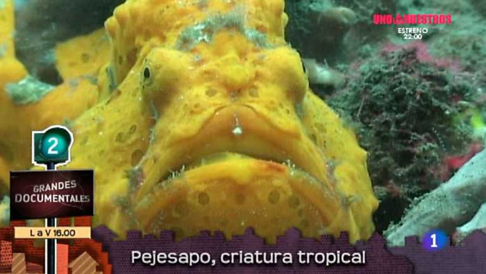 Lo que hay que ver - 05/10/13 - Ver ahora