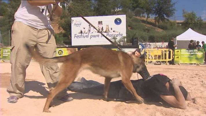 Perros que protegen