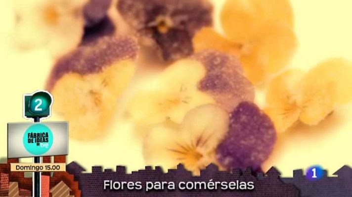 Lo que hay que ver ... - Lo que hay que ver - 06/10/13