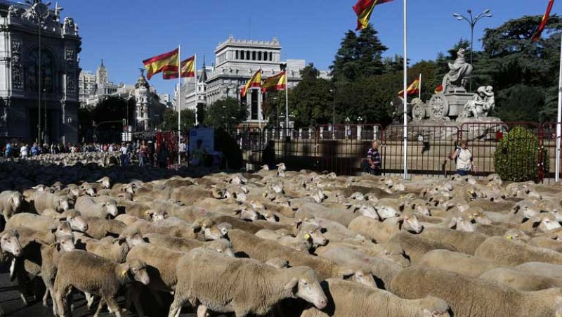 2.000 ovejas recuerdan en Madrid el papel de la ganadería en nuestro país