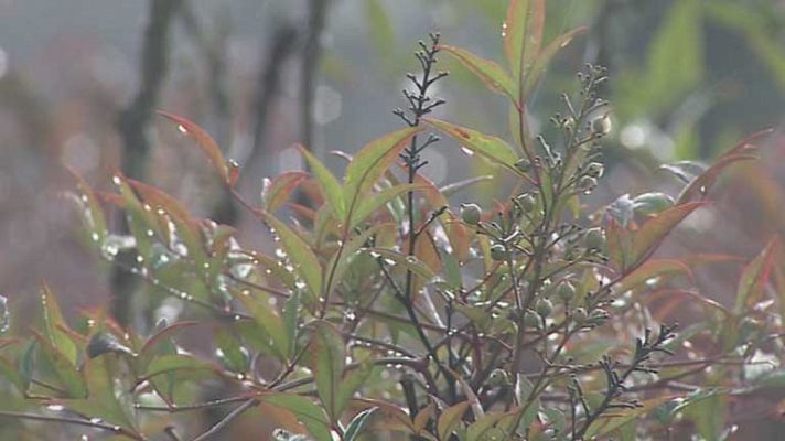 El tiempo - Cielo nuboso con chubascos en Levante, Baleares y nordeste catalán