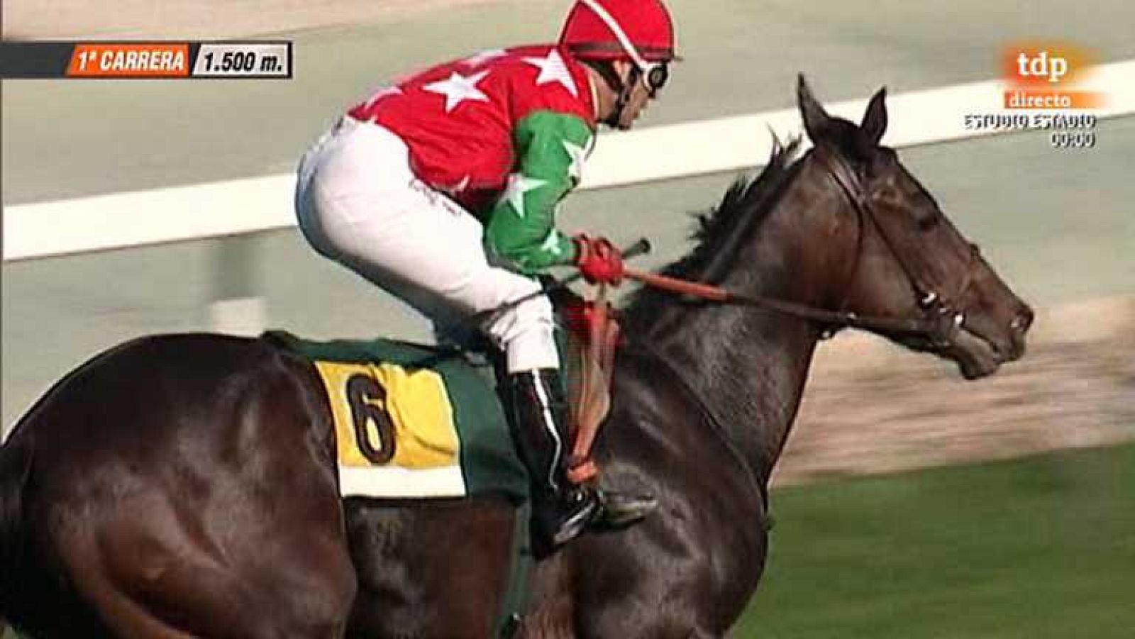 Turf - 06/10/13 - Ver ahora